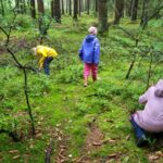 Lernspiel - "Eichhörnchen" verstecken ihre Winternüsse.