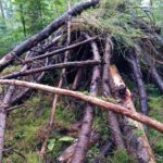 Die Kinder bauen Igelhäuser.