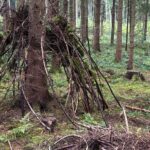 ... Häuser für andere Waldbewohner