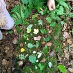 Kreatives Gestalten im Wald...