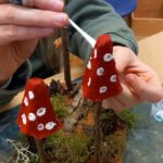 Fleigenpilze 2